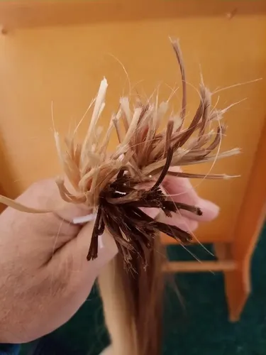 Manojo De 25 Mechas De Buen Volumen De Cabello 100% Natural