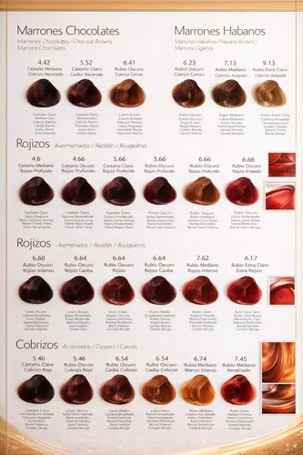 Tintura Sillkey Colorkey Gold 60g Cabello Permanente