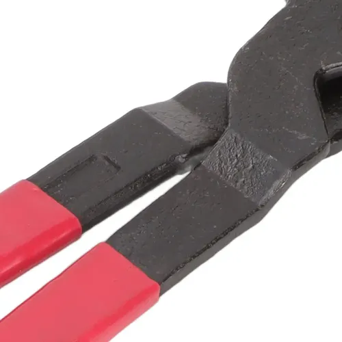 & Para Herramienta Para Herrar Pezuñas, Pinza, Cortaúñas,