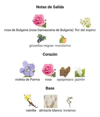 Perfume Kenz-flore/e.i 100ml Mujer Extracto Concentrado