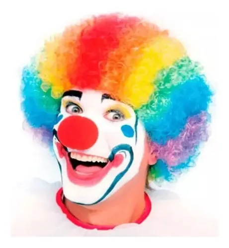 Peluca Afro Payaso Rulos Cotillon Fiesta Multicolor Envios