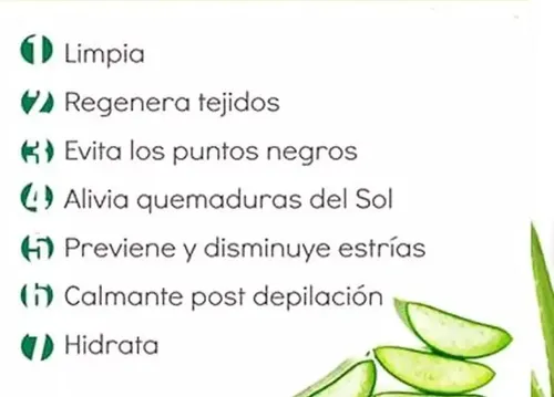 Crema Facial Antiedad Rosa Mosqueta 120 Ml Bioregeneradora