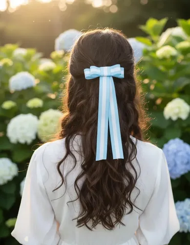 Moño Para El Pelo De Argentina Color Moño Argentina 1 gomita