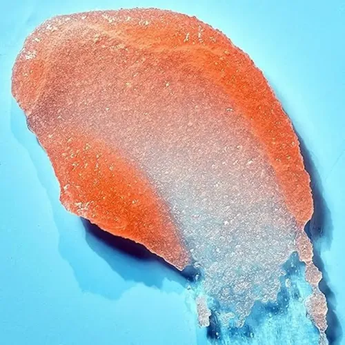 Tree Hut Exfoliante Corporal Peach Sorbet 510 G