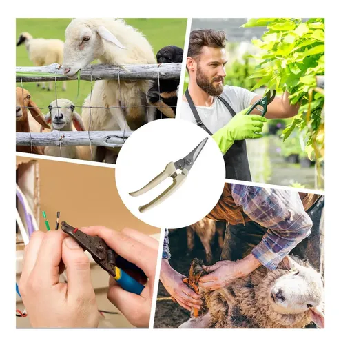 Cortaúñas Profesional Para Pezuñas De Cabras Y Ovejas A Type Or Select A Value