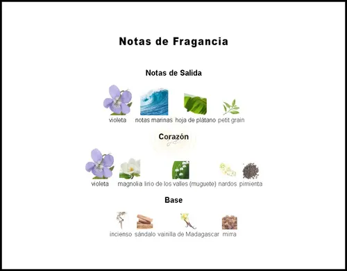 Perfume EDT Spell’s Night Yves D’Orgeval Ámbar Floral 80 ml Mujer