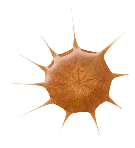 Qkkgotas Bronceadoras Líquidas Essence Cosmetics Para Todo T