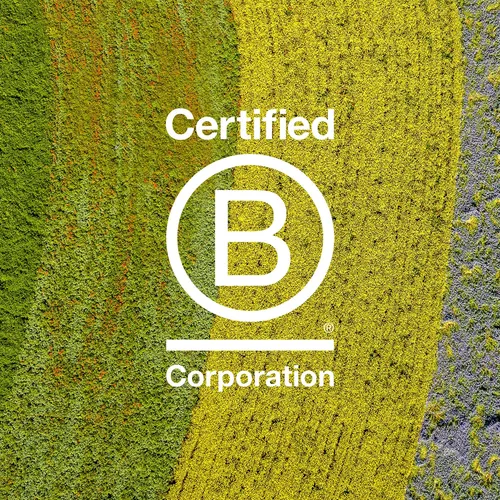 Mascarilla Capilar Davines The Purity Circle 50ml
