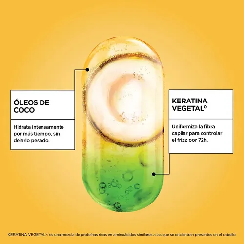 Shampoo Garnier Fructis Oil Repair Liso Coco 350ml