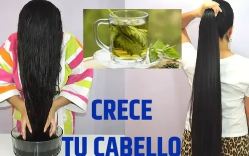Loción Capilar Para Caída Del Cabello Propóleos Y Ortiga
