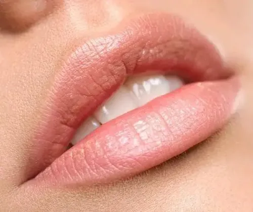 Prodermic Balsamo Labial Nutrilips Fps30+ Uvb + Uva X 3.5gr.