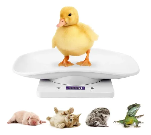 Báscula Digital Pequeña Para Mascotas Lfgkeng Para Animales