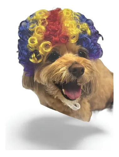 Peluca Para Mascota Payaso X1u