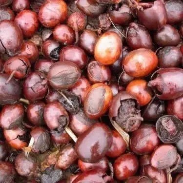 Manteca De Karite Natural Por 500 Gr. Prop Hidratantes
