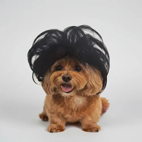Peluca Para Mascotas Pelo Negro Cotillon X1u