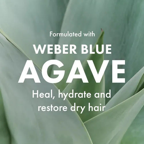Spray De Brillo Revitalizante Con Agave Para Brillo Y Contro