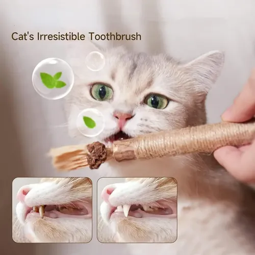 Palitos De Césped Dental Gatos Matatabi Natural Silvervine K