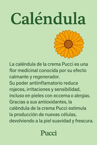 Crema Tallow Sebo De Res Beef Con Aceite De Tuétano Antiarr