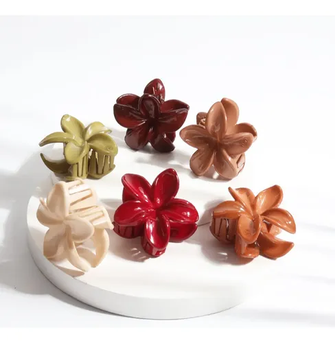 Broche Gancho P/ Pelo Flor Hawaiana X2uni Surtido Tendencia