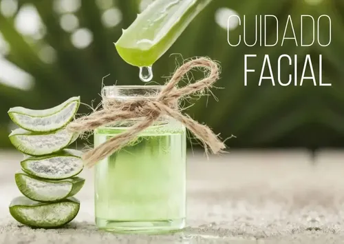 Crema Humectante Antiarrugas Reino con Aloe Vera y Protección Solar para Todo Tipo de Piel