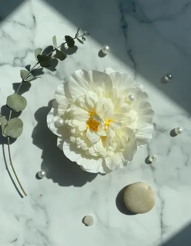 Hebilla Broche Para Pelo Flor Tela Con Pico Peinado Oriental Beige