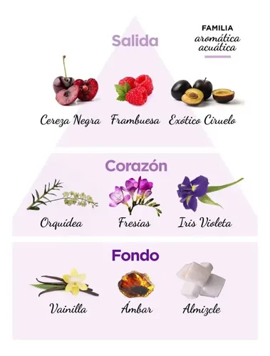 Eau De Toilette Capriccio Perfume Femenino De Violetta 45 Ml
