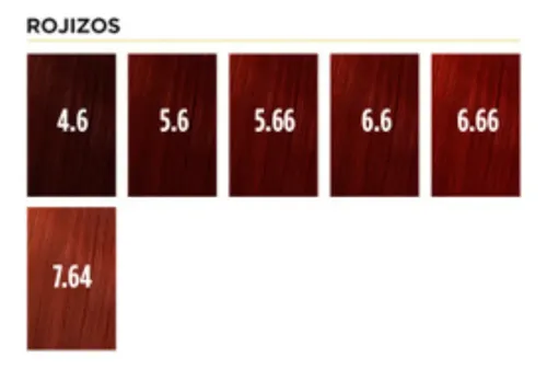 Silkey Colorkey Milenium Tintura X 120 G