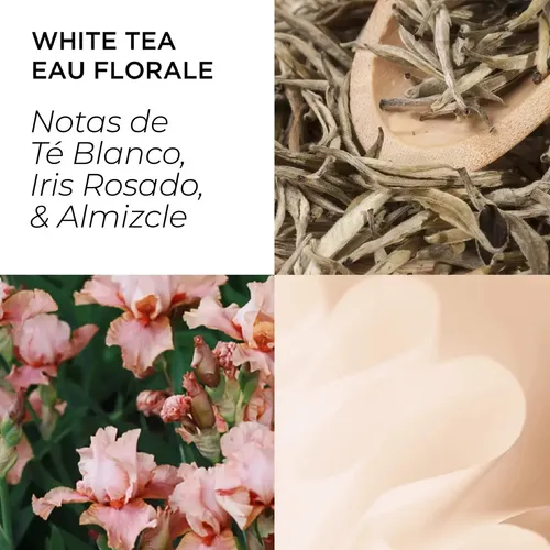 Elizabeth Arden White Tea Eau Florale Woman 100 Ml Edt