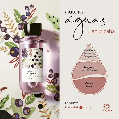 Aguas Jabuticaba 150 Ml Natura