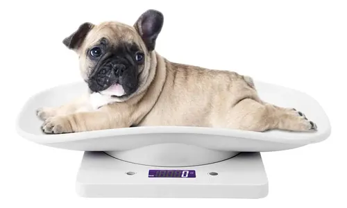 Báscula Digital Para Mascotas 10kg 1g Báscula Multifunción