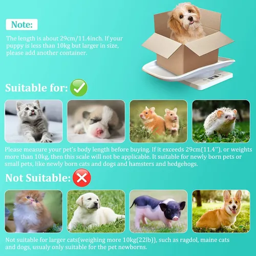 Báscula Digital Pequeña Para Mascotas Lfgkeng Para Animales