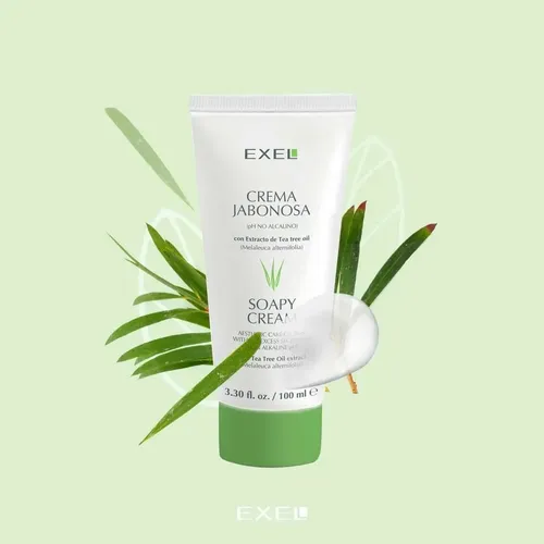 Exel Crema Jabonosa Ph No Alcalino Tea Tree Oil 100ml Momento de aplicación Día Noche Tipo de piel Pieles grasas y acneicas