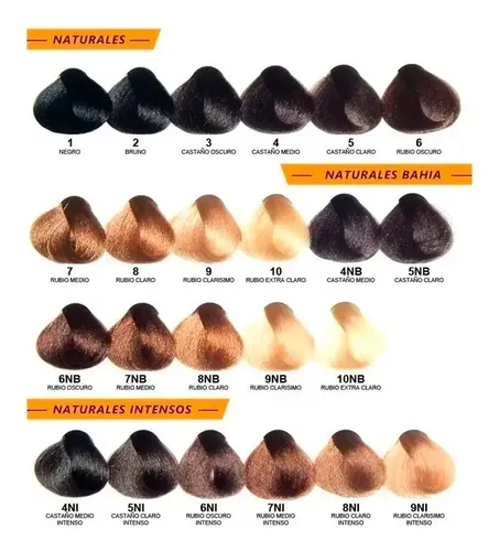 12 Tinturas Alfaparf Evolution Coloracion A Eleccion X 60 Gr