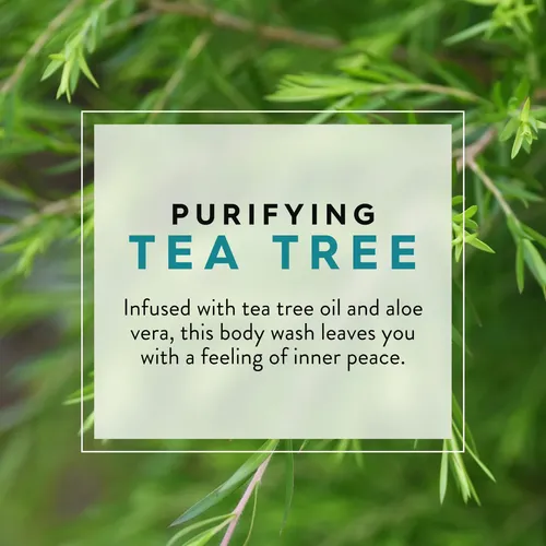 Jabón Corporal Purificante Jason Tea Tree 900 Ml Con Vitamin
