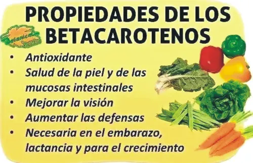 Bixa Orellana/autobronceante/protector De La Piel/vitamina E