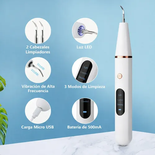 Removedor Cepillo Eléctrico Sónico Elimina Sarro Dental Oral