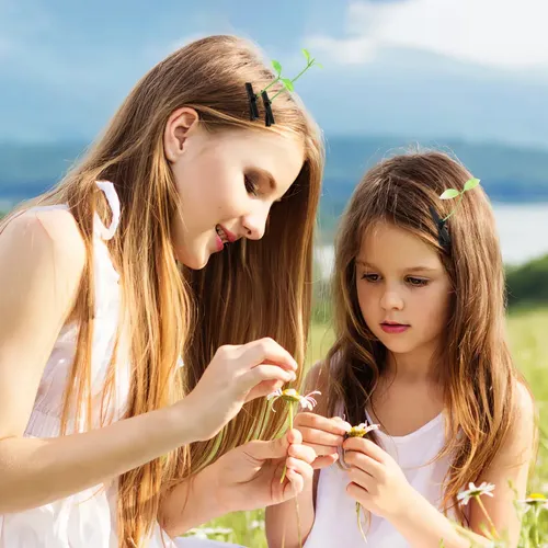 100 Piezas Broches Cabello Planta Para Cabello De Niños