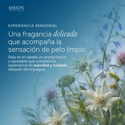 Kerasys Shampoo Coreano Hidratante 600 Ml