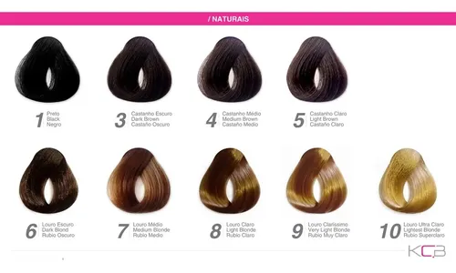 6 Tintura Kcb Color Profesional Peluqueria Barberia Promo X6