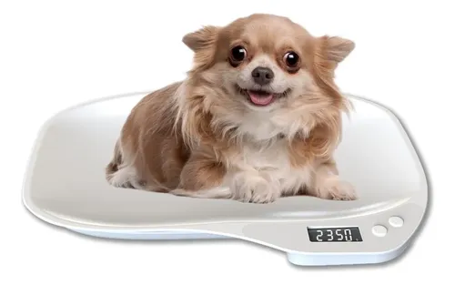 Báscula Digital Para Mascotas Bebé 15kg Bandeja