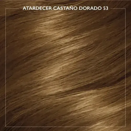 Kit De Tintura Koleston Noches Luminosas Tono 53 Wella 53 Atardecer Castaño Dorado