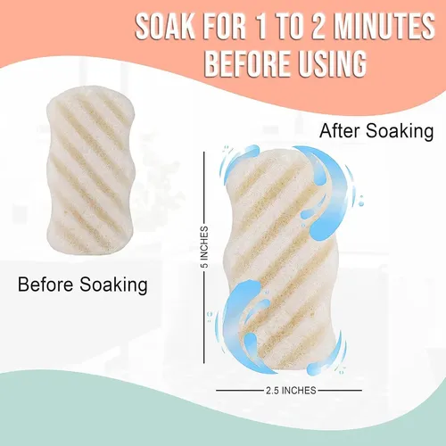 Esponja De Konjac Con Carbón Activado Puresol