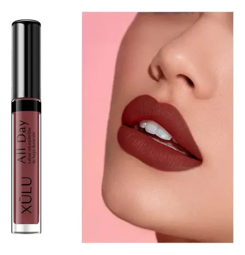 Labial Líquido Intransferible All Day Larga Duración Z249 Color 24 – Funk