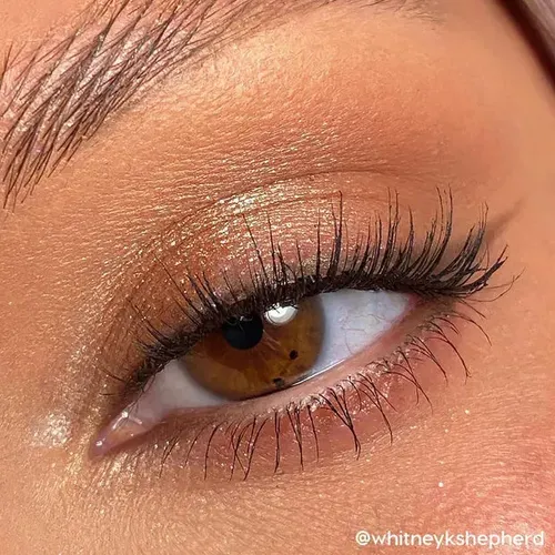 Paleta de Sombras ColourPop Going Coconuts 9 Tonos Mate