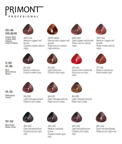 Primont Color X4 Tintura Coloración Cabello 60gr C/amoniaco