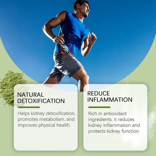 Polvo Hierba Cebada Orgánica Nutritivo