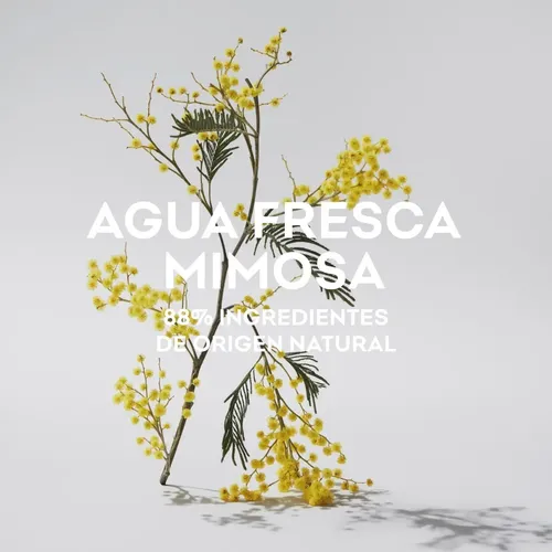 Adolfo Dominguez Agua Fresca Mimosa Edt X 120ml Masaromas