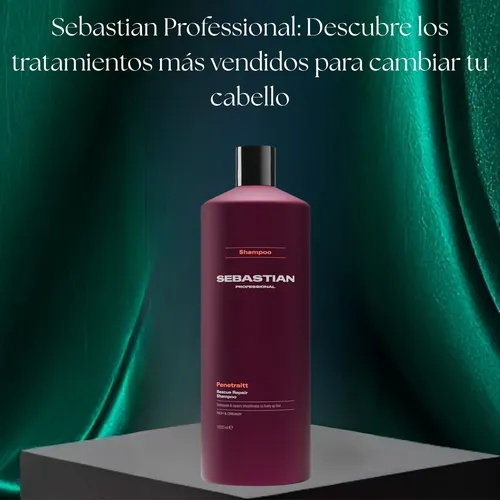 Shampoo Wella Sebastian Penetraitt Nutricion Cabello Seco 1l