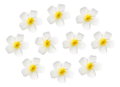 Pinza De Pelo Con Forma De Flor Para Niña Frangipani, 10 Uni