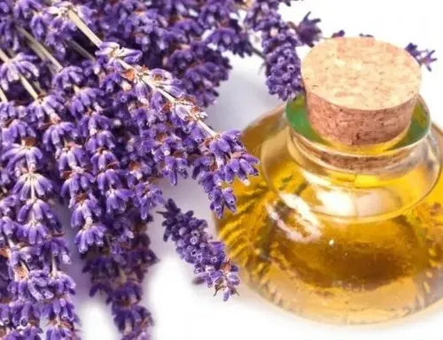 Oleo Para Masajes Aceite De Almendra Y Lavanda 5 Litro